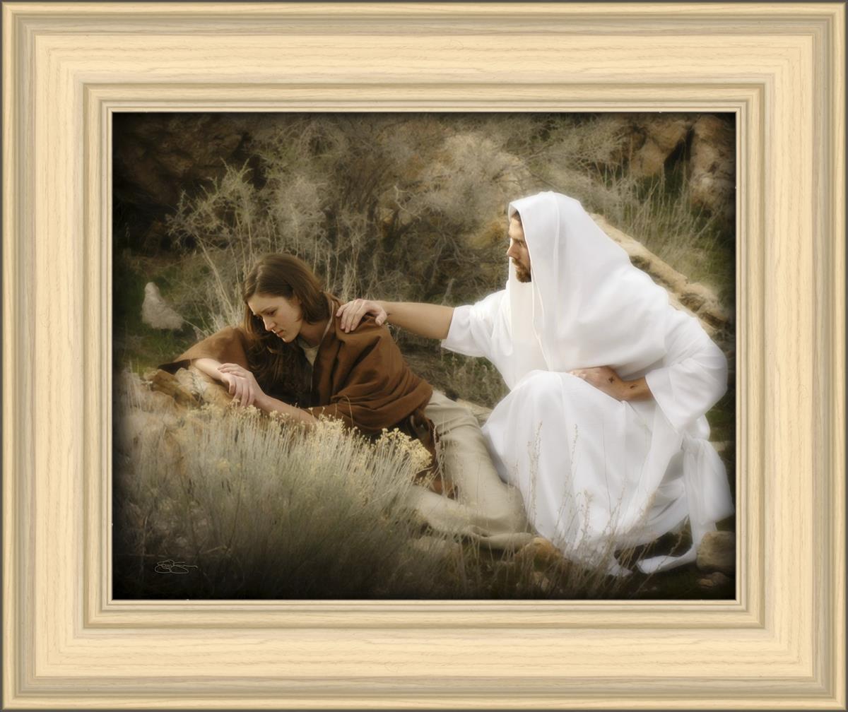 The Comforter