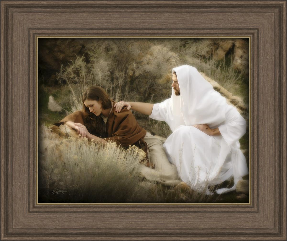 The Comforter