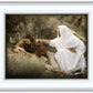 The Comforter
