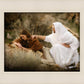 The Comforter