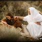 The Comforter