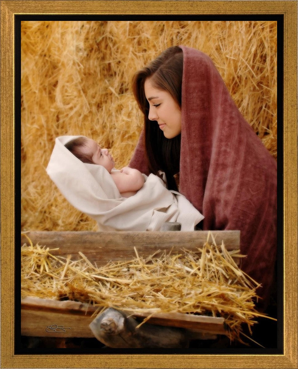The Son of God Gallery Wrap