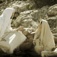 Woman at the Well