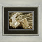 Woman at the Well