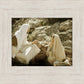 Woman at the Well