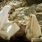 Woman at the Well