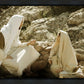 Woman at the Well