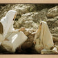 Woman at the Well