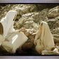 Woman at the Well
