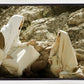 Woman at the Well