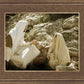 Woman at the Well