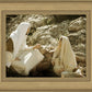 Woman at the Well