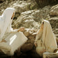 Woman at the Well