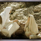 Woman at the Well