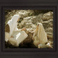 Woman at the Well
