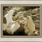 Woman at the Well