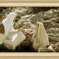 Woman at the Well
