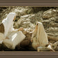 Woman at the Well