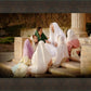 Young Women