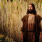 Prepare ye the way of the Lord