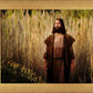 Prepare ye the way of the Lord