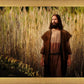 Prepare ye the way of the Lord
