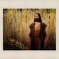 Prepare ye the way of the Lord