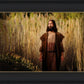 Prepare ye the way of the Lord