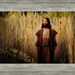 Prepare ye the way of the Lord