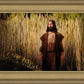 Prepare ye the way of the Lord