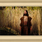 Prepare ye the way of the Lord