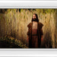 Prepare ye the way of the Lord
