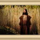 Prepare ye the way of the Lord