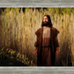 Prepare ye the way of the Lord
