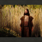 Prepare ye the way of the Lord