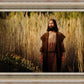 Prepare ye the way of the Lord