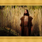 Prepare ye the way of the Lord