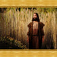 Prepare ye the way of the Lord