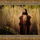 Prepare ye the way of the Lord