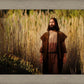 Prepare ye the way of the Lord
