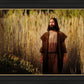 Prepare ye the way of the Lord