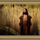 Prepare ye the way of the Lord
