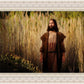 Prepare ye the way of the Lord