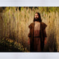 Prepare ye the way of the Lord