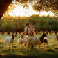 Tending the Flock