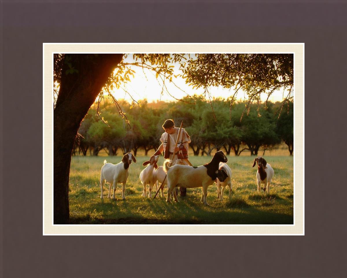Tending the Flock