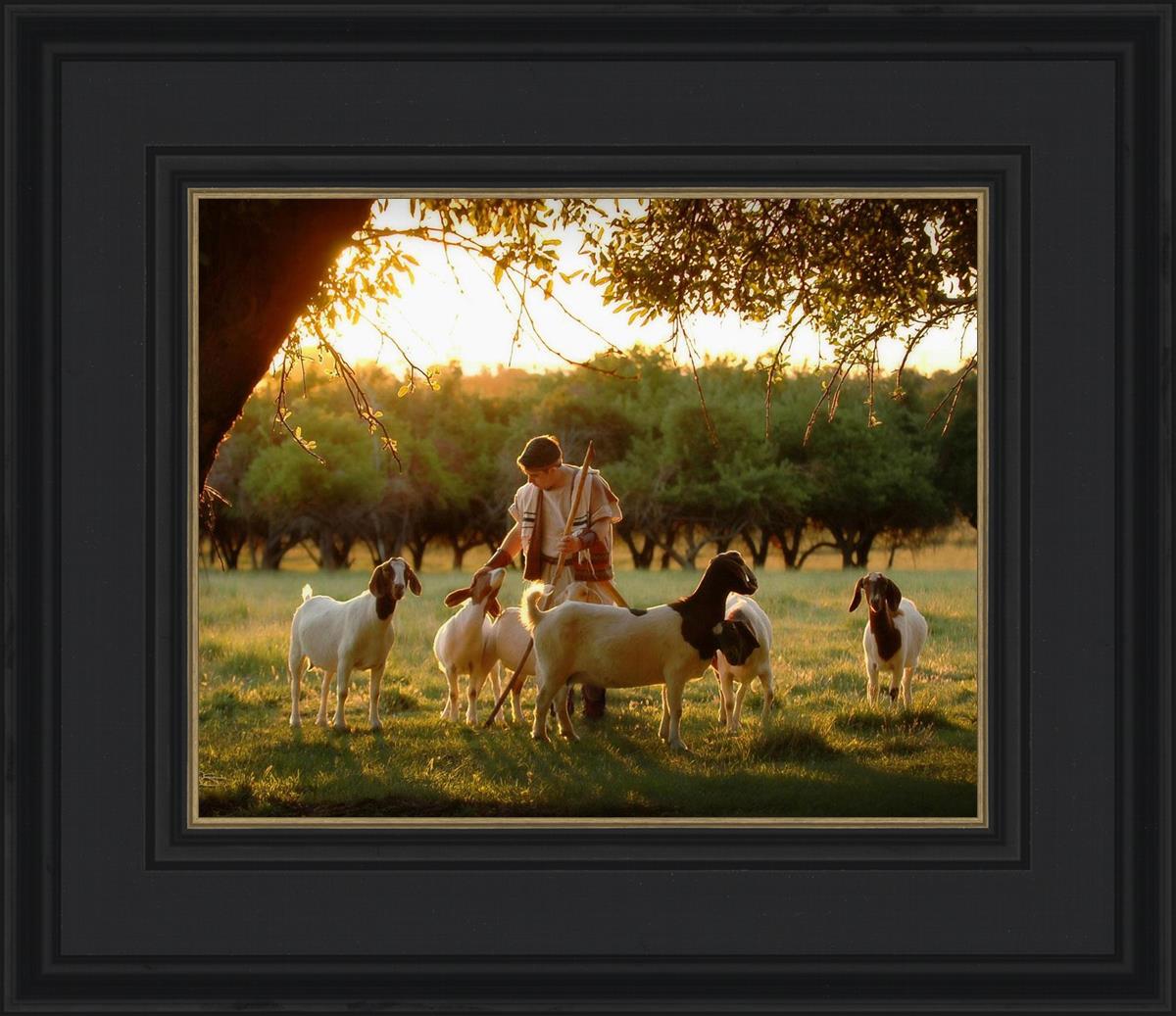 Tending the Flock