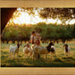 Tending the Flock