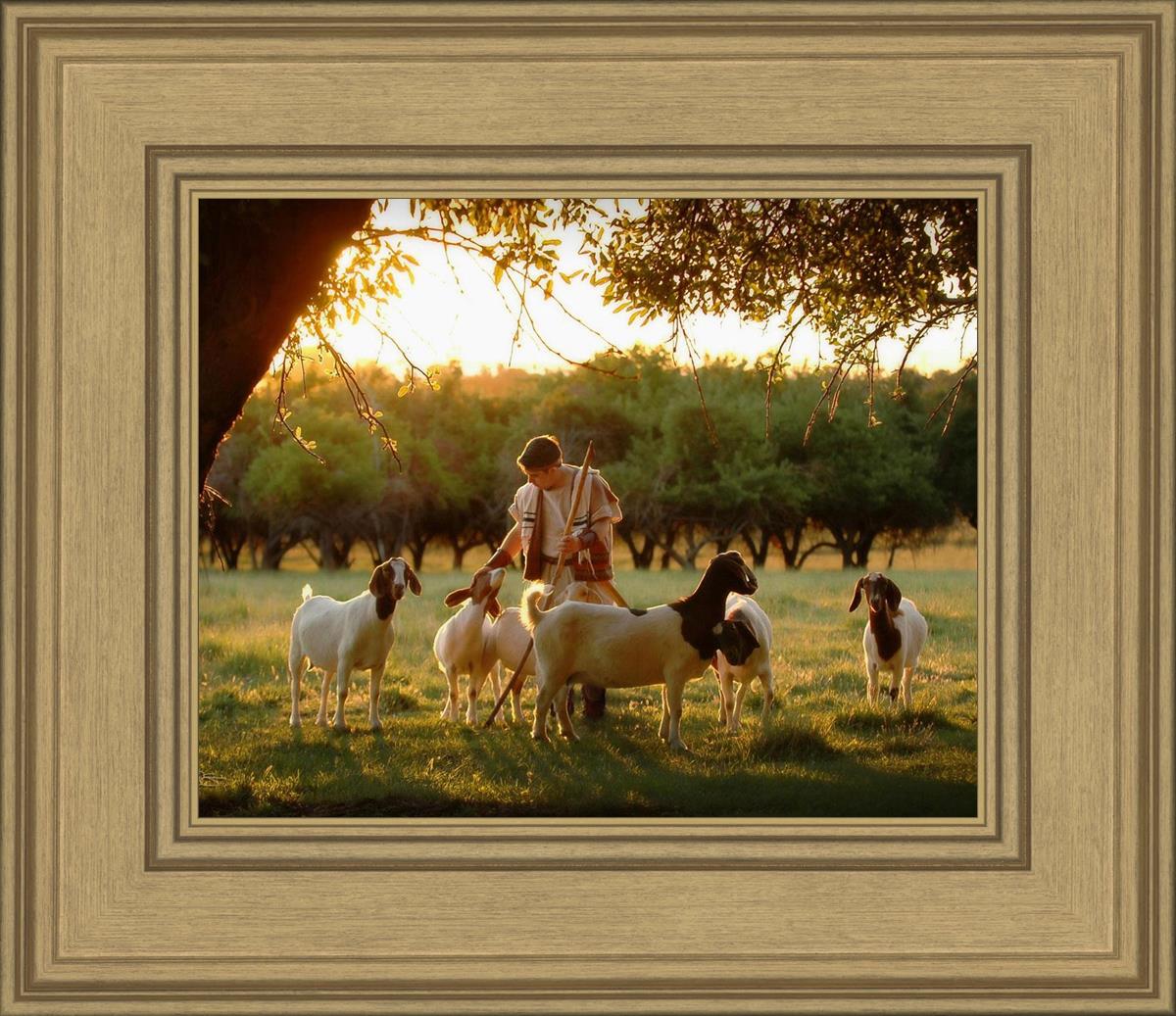 Tending the Flock
