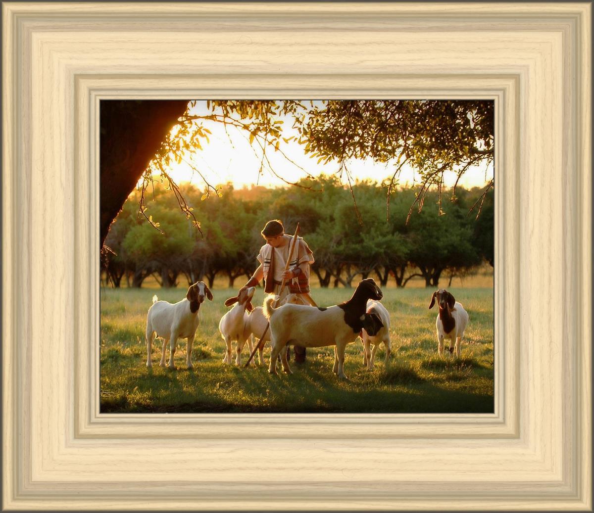 Tending the Flock